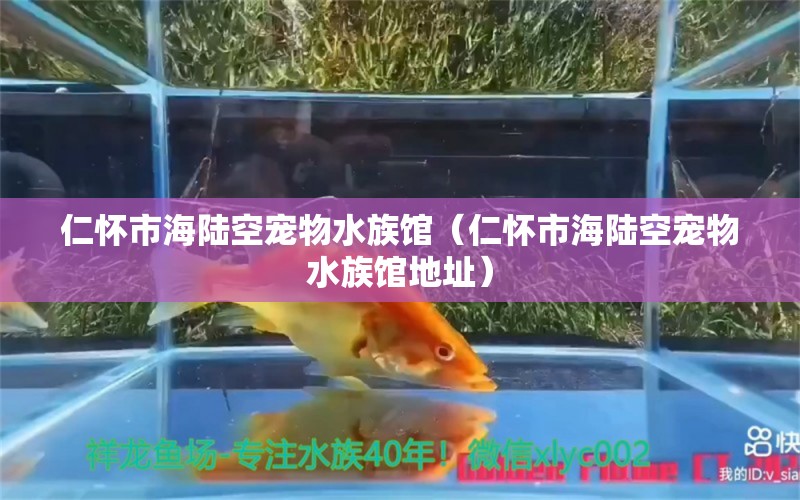 仁懷市海陸空寵物水族館（仁懷市海陸空寵物水族館地址） 全國(guó)水族館企業(yè)名錄