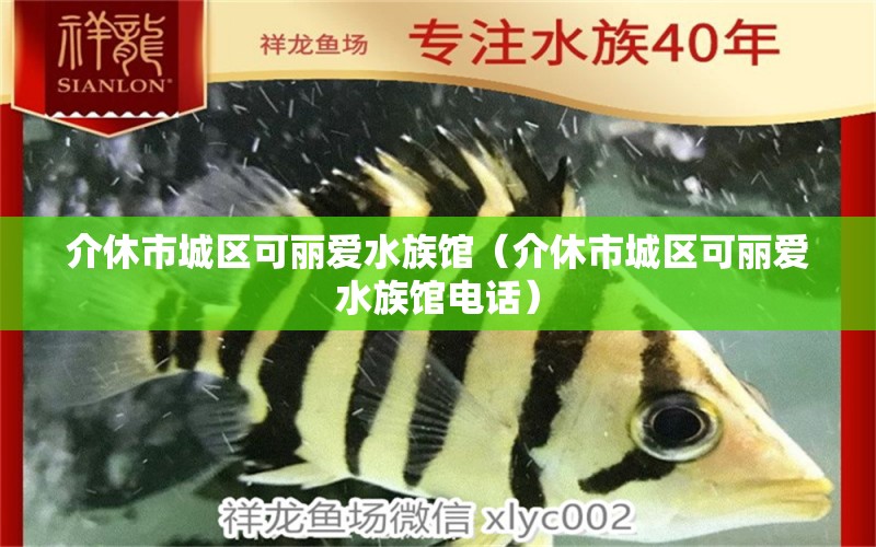 介休市城區(qū)可麗愛(ài)水族館（介休市城區(qū)可麗愛(ài)水族館電話） 全國(guó)水族館企業(yè)名錄