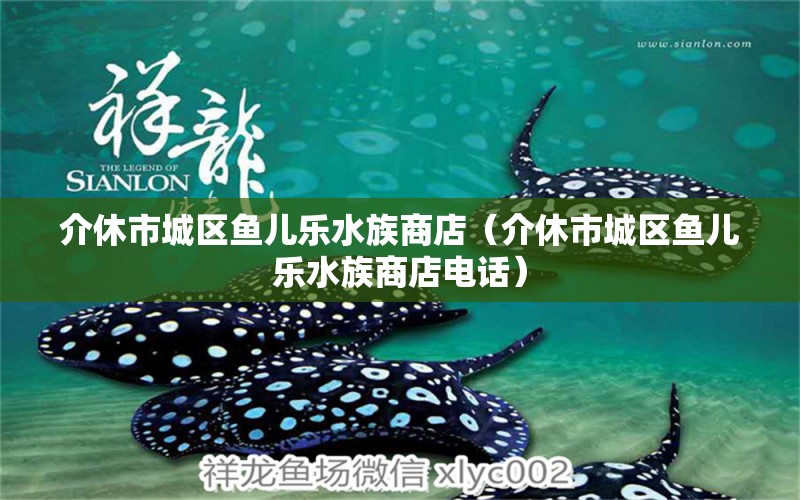 介休市城區(qū)魚(yú)兒樂(lè)水族商店（介休市城區(qū)魚(yú)兒樂(lè)水族商店電話）