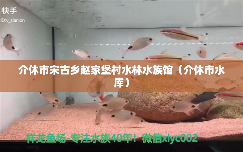 介休市宋古鄉(xiāng)趙家堡村水林水族館（介休市水庫） 全國水族館企業(yè)名錄