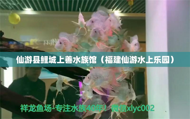 仙游縣鯉城上善水族館（福建仙游水上樂園） 全國水族館企業(yè)名錄