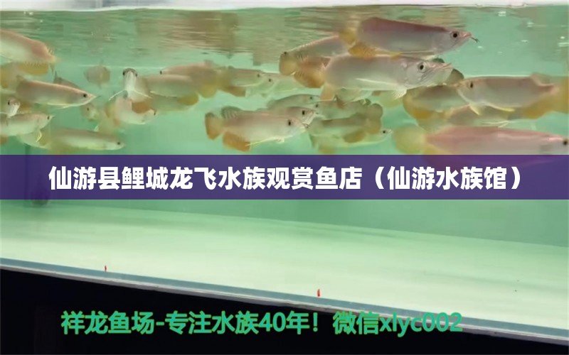 仙游縣鯉城龍飛水族觀賞魚店（仙游水族館）