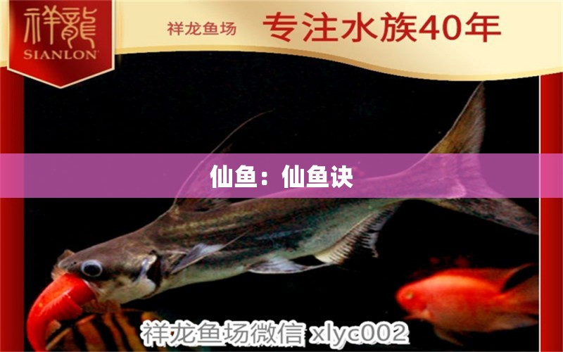 仙魚：仙魚訣