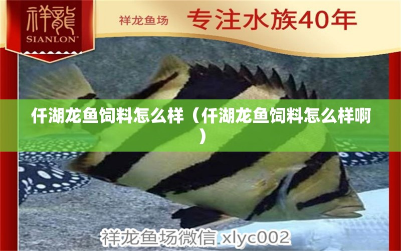 仟湖龍魚飼料怎么樣（仟湖龍魚飼料怎么樣?。?仟湖