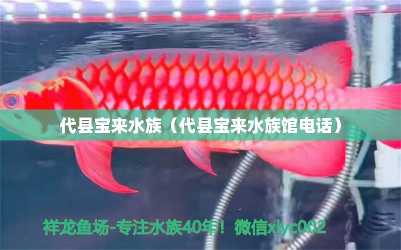 代縣寶來水族（代縣寶來水族館電話） 全國水族館企業(yè)名錄