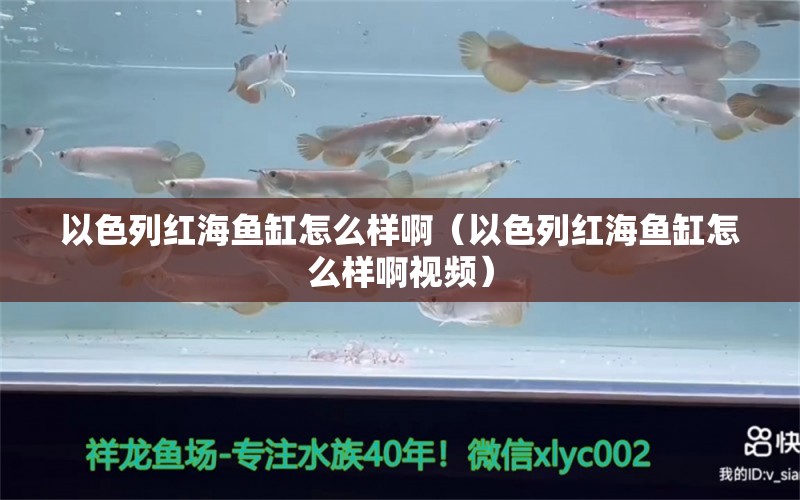 以色列紅海魚(yú)缸怎么樣?。ㄒ陨屑t海魚(yú)缸怎么樣啊視頻）