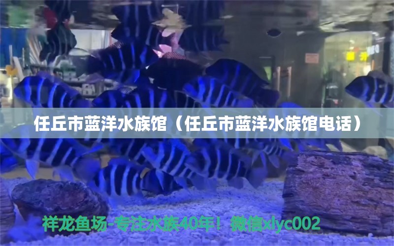 任丘市藍(lán)洋水族館（任丘市藍(lán)洋水族館電話）