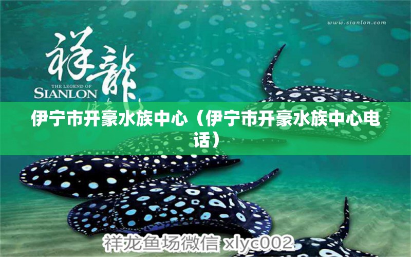 伊寧市開豪水族中心（伊寧市開豪水族中心電話）