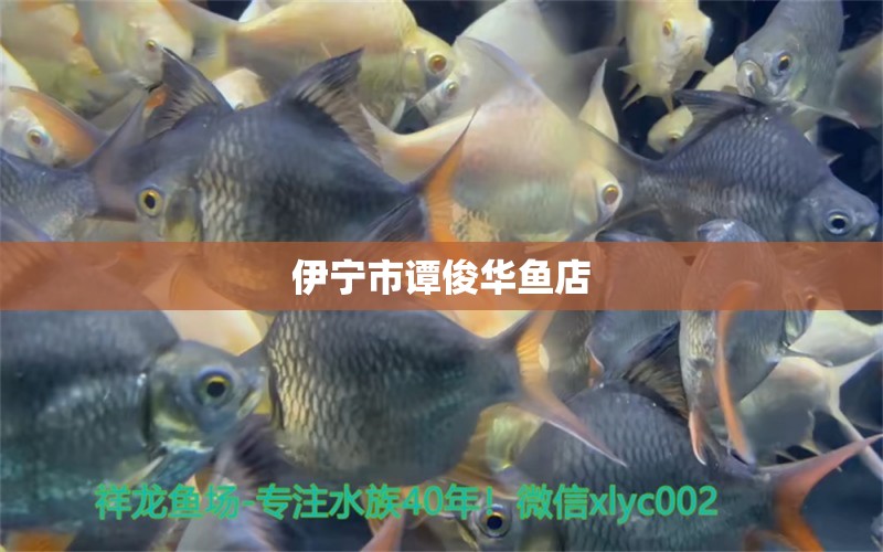 伊寧市譚俊華魚店 全國(guó)水族館企業(yè)名錄