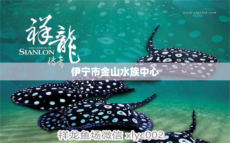 伊寧市金山水族中心