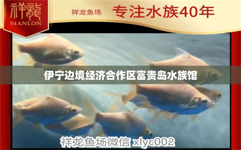 伊寧邊境經(jīng)濟(jì)合作區(qū)富貴島水族館 全國水族館企業(yè)名錄