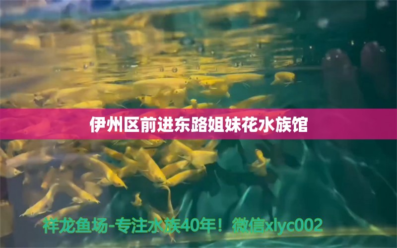 伊州區(qū)前進(jìn)東路姐妹花水族館 全國水族館企業(yè)名錄