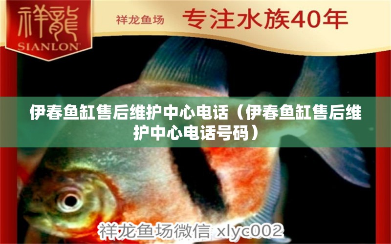 伊春魚缸售后維護中心電話（伊春魚缸售后維護中心電話號碼）