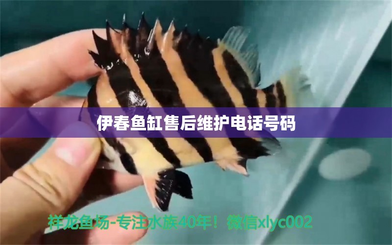 伊春魚缸售后維護電話號碼