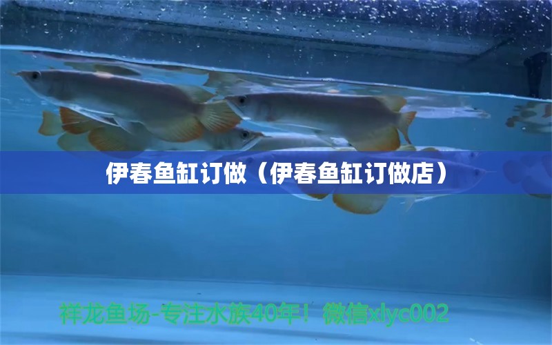 伊春魚缸訂做（伊春魚缸訂做店） 廣州龍魚批發(fā)市場