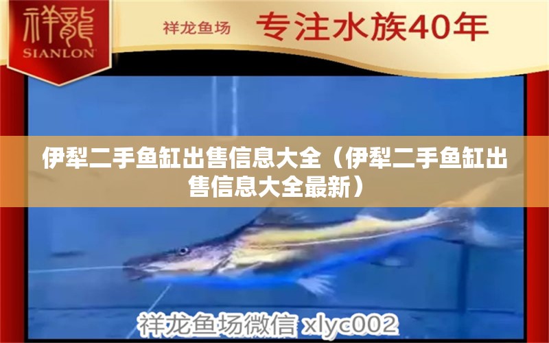 伊犁二手魚缸出售信息大全（伊犁二手魚缸出售信息大全最新） 其他品牌魚缸