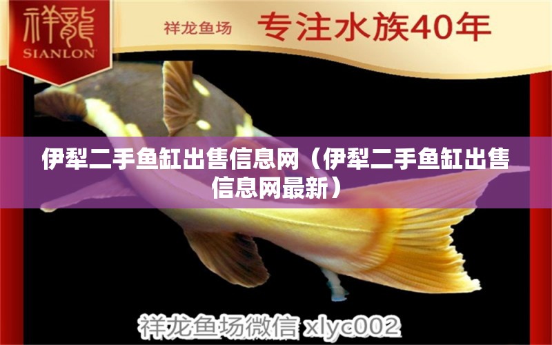 伊犁二手魚缸出售信息網(wǎng)（伊犁二手魚缸出售信息網(wǎng)最新）