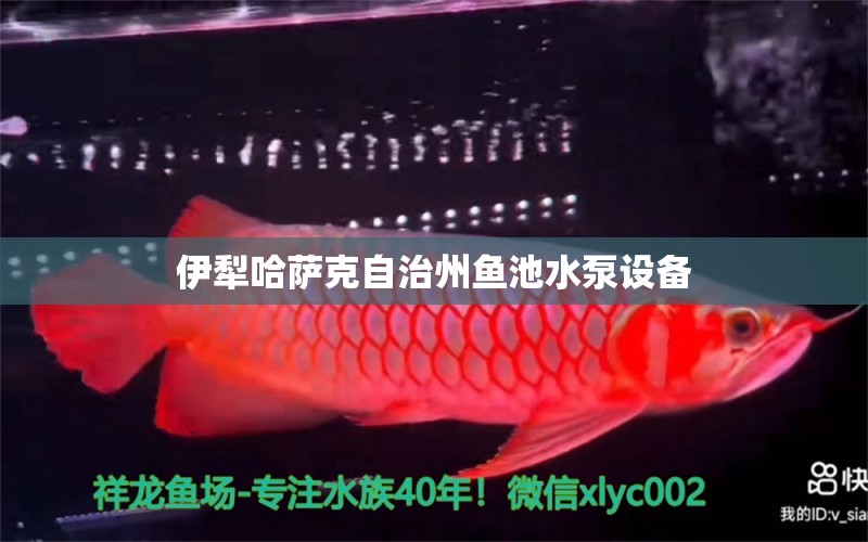 伊犁哈薩克自治州魚池水泵設備 廣州水族器材濾材批發(fā)市場