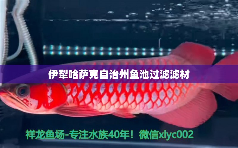 伊犁哈薩克自治州魚池過濾濾材 廣州水族器材濾材批發(fā)市場