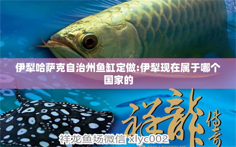 伊犁哈薩克自治州魚缸定做:伊犁現(xiàn)在屬于哪個國家的