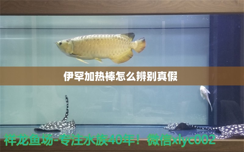 伊罕加熱棒怎么辨別真假  伊罕水族