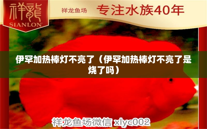 伊罕加熱棒燈不亮了（伊罕加熱棒燈不亮了是燒了嗎） 伊罕水族