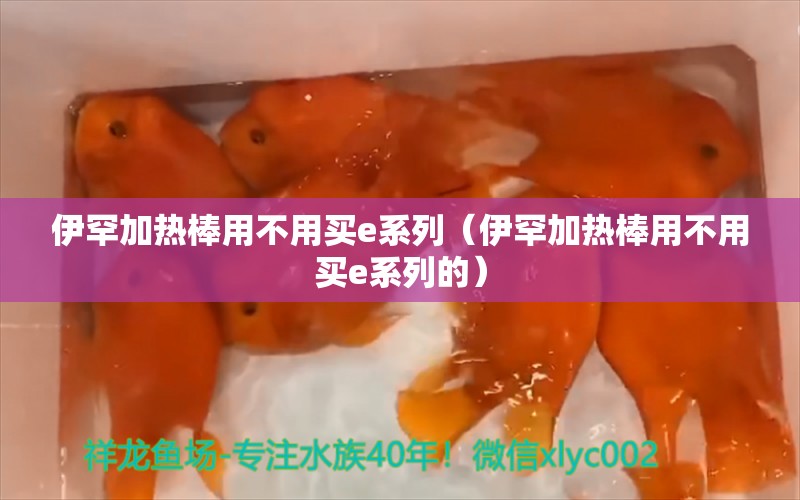 伊罕加熱棒用不用買e系列（伊罕加熱棒用不用買e系列的） 伊罕水族