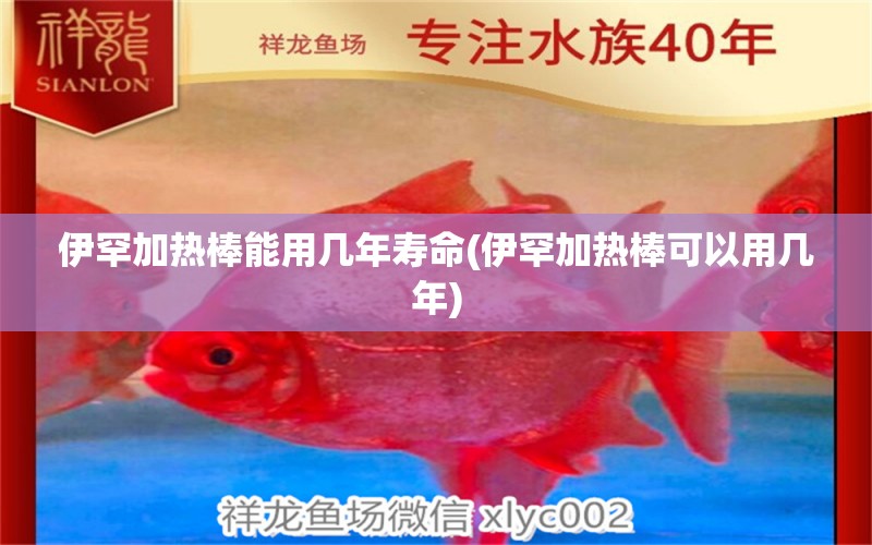 伊罕加熱棒能用幾年壽命(伊罕加熱棒可以用幾年) 伊罕水族 第1張