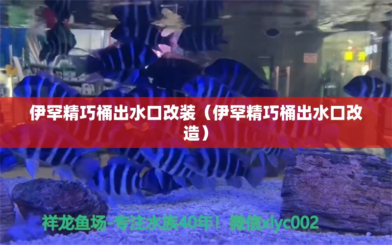 伊罕精巧桶出水口改裝（伊罕精巧桶出水口改造）