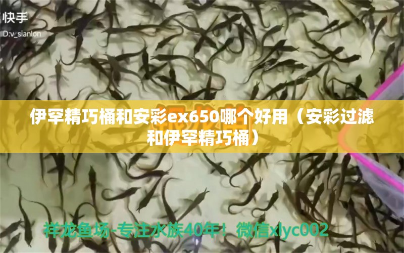 伊罕精巧桶和安彩ex650哪個好用（安彩過濾和伊罕精巧桶）