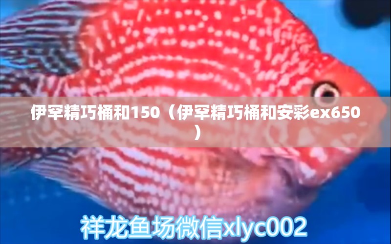 伊罕精巧桶和150（伊罕精巧桶和安彩ex650）