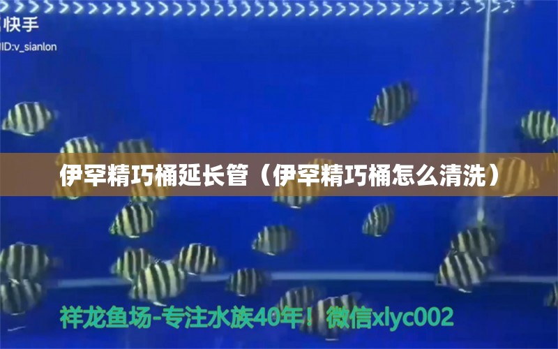 伊罕精巧桶延長管（伊罕精巧桶怎么清洗） 噴點(diǎn)菠蘿魚