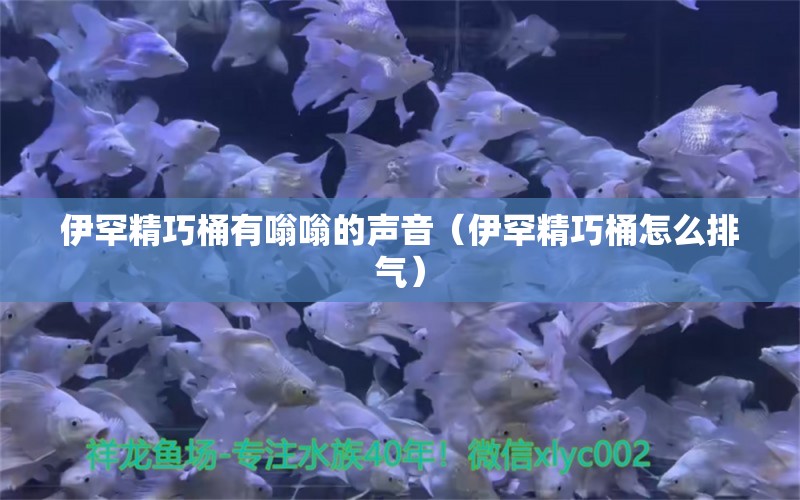 伊罕精巧桶有嗡嗡的聲音（伊罕精巧桶怎么排氣） 殺菌消毒設備