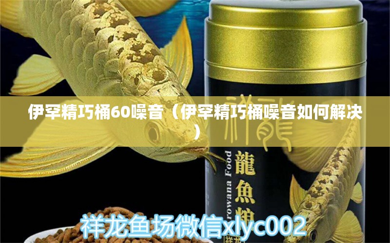 伊罕精巧桶60噪音（伊罕精巧桶噪音如何解決） 伊罕水族