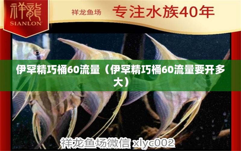 伊罕精巧桶60流量（伊罕精巧桶60流量要開多大） 伊罕水族