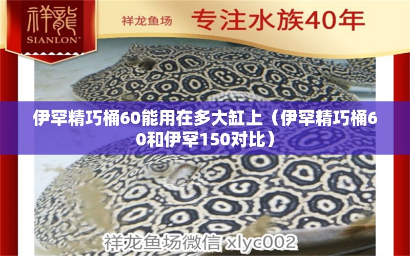 伊罕精巧桶60能用在多大缸上（伊罕精巧桶60和伊罕150對比） 伊罕水族