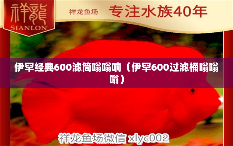 伊罕經(jīng)典600濾筒嗡嗡響（伊罕600過濾桶嗡嗡嗡） 伊罕水族