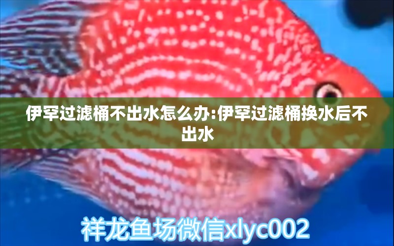 伊罕過濾桶不出水怎么辦:伊罕過濾桶換水后不出水 伊罕水族 第1張