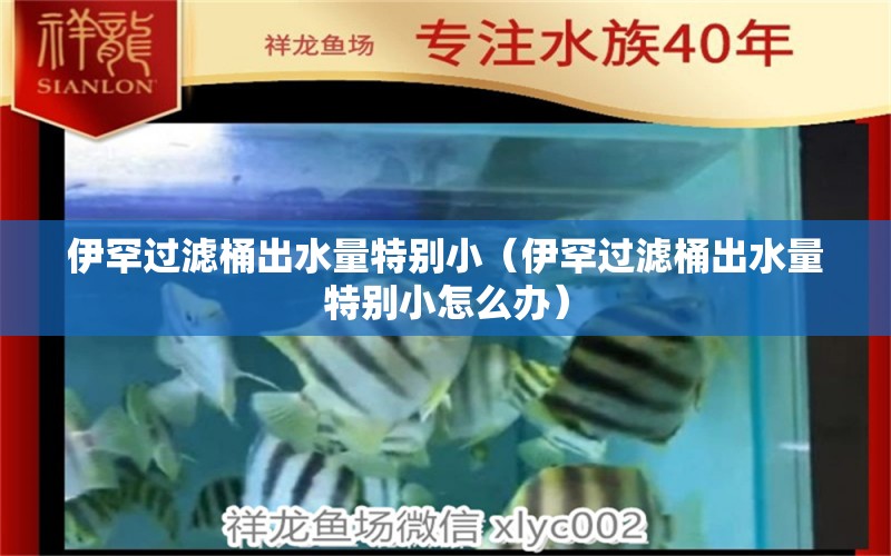 伊罕過(guò)濾桶出水量特別?。ㄒ梁边^(guò)濾桶出水量特別小怎么辦）