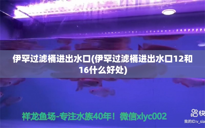 伊罕過濾桶進出水口(伊罕過濾桶進出水口12和16什么好處)