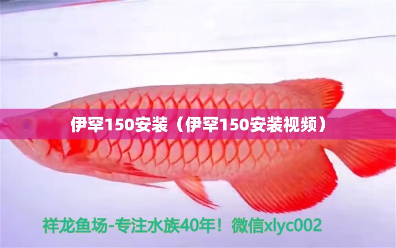 伊罕150安裝（伊罕150安裝視頻） 伊罕水族