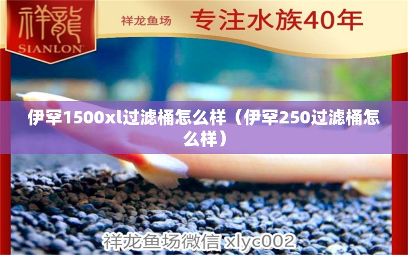 伊罕1500xl過濾桶怎么樣（伊罕250過濾桶怎么樣）