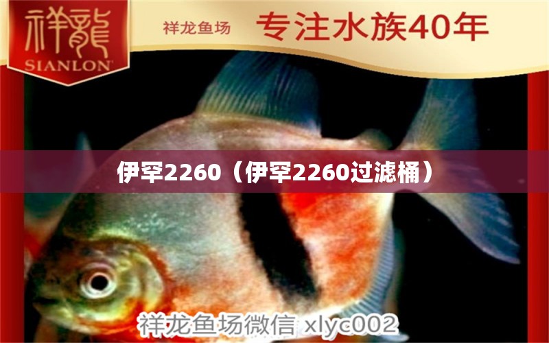 伊罕2260（伊罕2260過濾桶） 伊罕水族