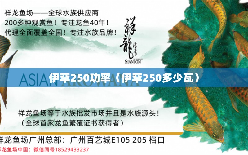 伊罕250功率（伊罕250多少瓦）