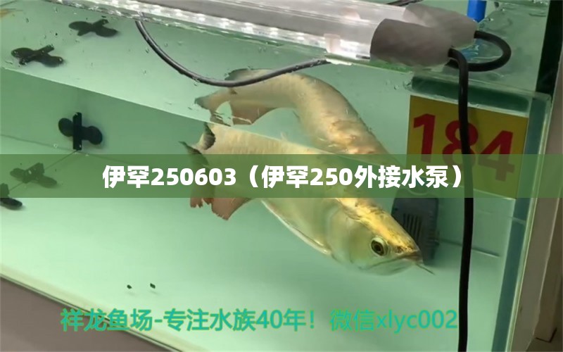 伊罕250603（伊罕250外接水泵）