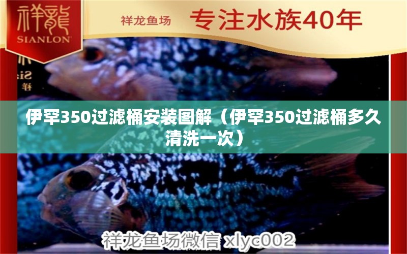 伊罕350過濾桶安裝圖解（伊罕350過濾桶多久清洗一次）