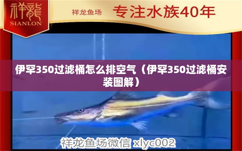 伊罕350過(guò)濾桶怎么排空氣（伊罕350過(guò)濾桶安裝圖解） 伊罕水族