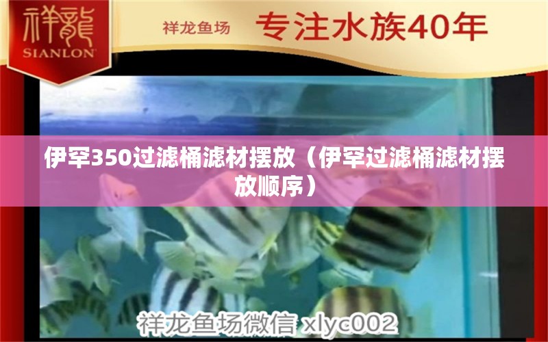 伊罕350過濾桶濾材擺放（伊罕過濾桶濾材擺放順序）