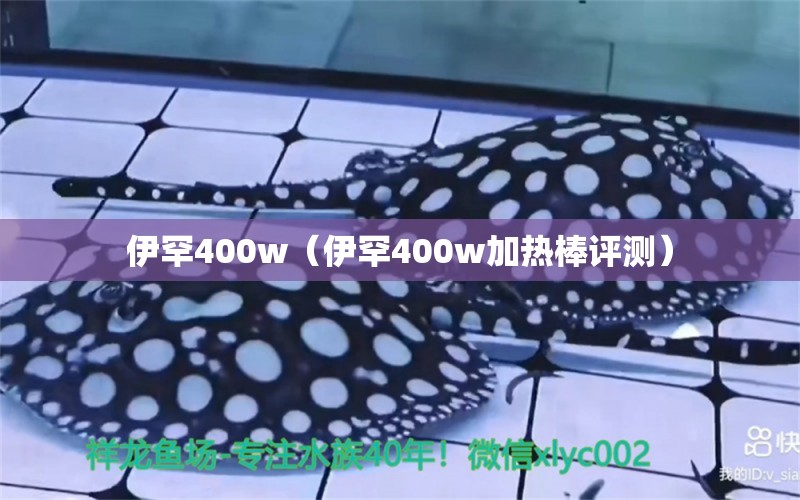 伊罕400w（伊罕400w加熱棒評(píng)測(cè)） 伊罕水族