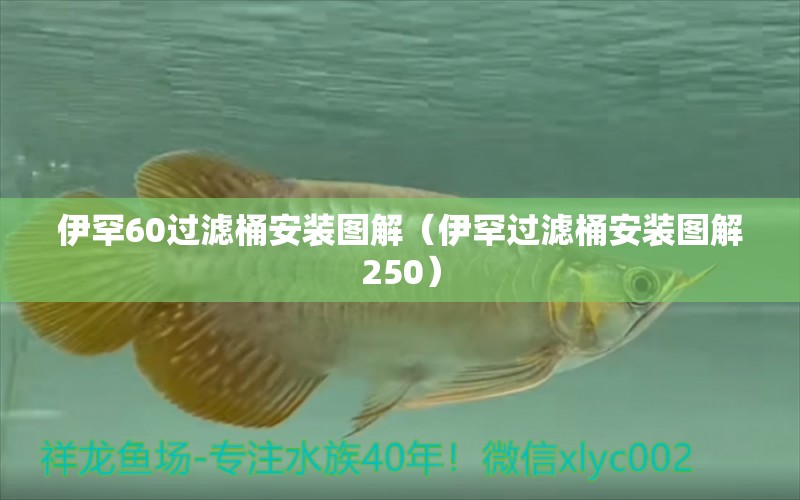 伊罕60過濾桶安裝圖解（伊罕過濾桶安裝圖解250）